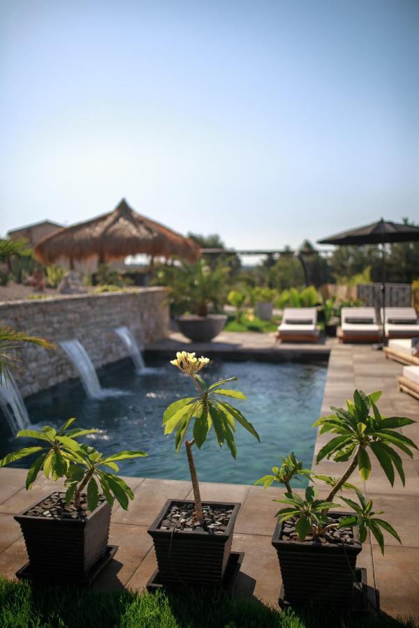 Villa Merapi Sveti Lovreč Pazenatički Exterior foto